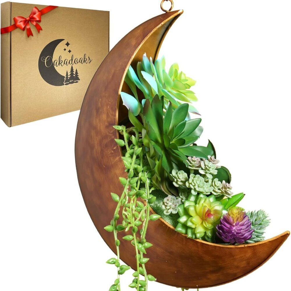 - Moms Day Gifts for Women - Moon Room Decor - Unique Planters for Succulents,Ai